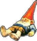gnomi